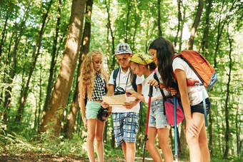 <strong>夏季周</strong>末孩子们漫步森林旅行设备