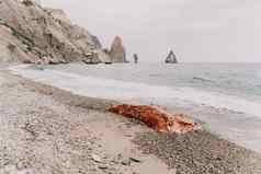 大红色的碧玉岩石海滩海背景大红色的碧玉石头关闭
