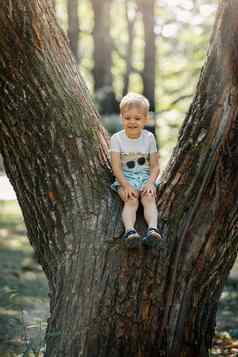 肖像可爱的孩子男孩坐着大树夏天一天孩子攀爬树男孩坐着树分支户外活跃的男孩玩公园