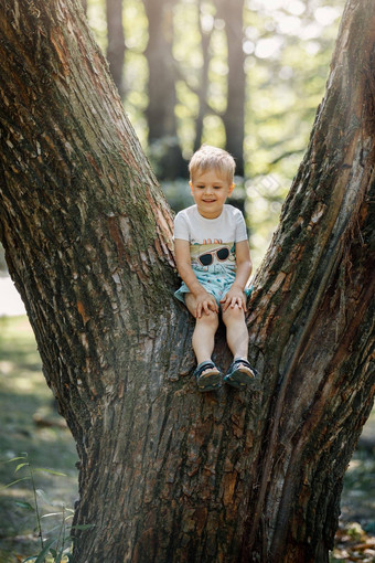 肖像可爱的孩子男孩坐着大<strong>树</strong>夏天一天孩子攀<strong>爬树</strong>男孩坐着<strong>树</strong>分支户外活跃的男孩玩公园