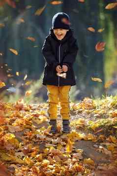 孩子玩秋天公园孩子扔黄色的叶子孩子男孩橡木枫木叶秋天树叶家庭户外有趣的秋天蹒跚学步的学龄前儿童秋天