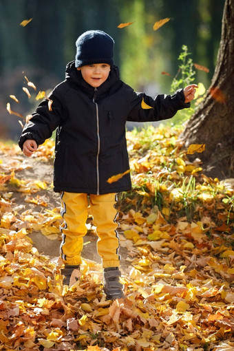 快乐可爱的孩子男孩叶子秋天公园概念童年家庭孩子快乐童年