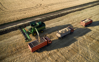 结合收割机小麦卸货粮食结合场场谷物收获现代农业罗斯托夫地区俄罗斯
