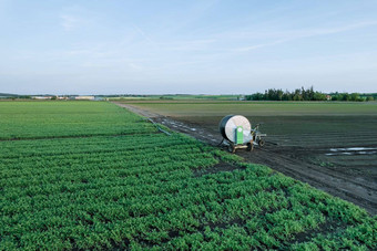 豌豆浇水场保护干旱绿色(2008年)种植园