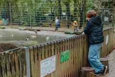 青少年女孩动物园女孩手表动物园自然公园储备