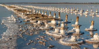 盐晶体木柱子世纪盐行业生态问题干旱