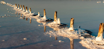 盐晶体木柱子世纪盐行业生态问题干旱