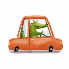 可爱的鳄鱼开车红色的车有趣的鳄鱼孤立的白色卡通手画插图