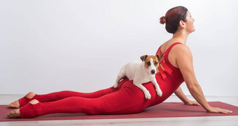 女人红色的工作服实践瑜伽狗女孩站构成狗动物的鼻口向上白色背景
