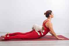 女人红色的工作服实践瑜伽狗女孩站构成狗动物的鼻口向上白色背景