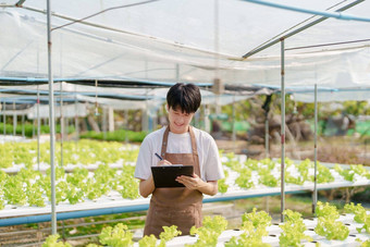 男人。农民收获蔬菜审计质量水培法农场有机新鲜的蔬菜农民工作水培蔬菜花园收获小业务概念