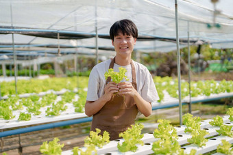 男人。农民收获<strong>蔬菜</strong>水培法农场有机新鲜的<strong>蔬菜</strong>农民工作水培<strong>蔬菜</strong>花园