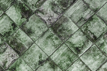 模具纹理瓷砖真菌绿色脏背景墙地底难看的东西霉表面