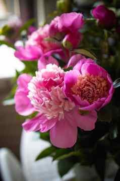 花束粉红色的牡丹花瓶表格