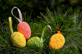 光多彩色的节日复活节鸡蛋冷杉分支机构阳光明媚的春天一天