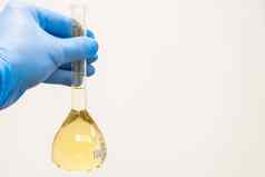 科学家蓝色的橡胶持有黄色的解决方案瓶白色背景复制空间尿素分析临床毒理学法医分析