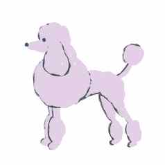 手画插图贵宾犬狗白色背景粉红色的紫色淡紫色动物宠物有趣的卡通草图风格可爱的毛茸茸的小狗dogshow梳理沙龙打印纺织狗大手帕