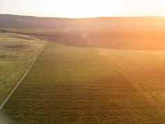 空中视图绿色小麦场路山农村场小麦吹风日落耳朵大麦作物自然农学行业食物生产