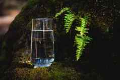 清洁喝水轮玻璃杯石头莫斯蕨类植物特写镜头背景绿色自然在户外