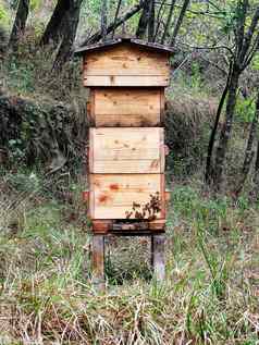 生产蜂蜜木蜂巢盒子
