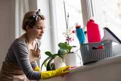 年轻的女人房子家务女人持有清洁工具女人穿橡胶保护黄色的手套持有破布喷雾瓶洗涤剂晚些时候春天清洁