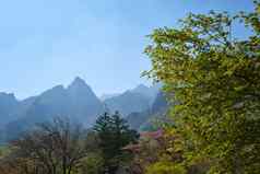 拉克山国家公园南韩国