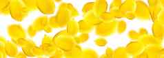 多汁的成熟的飞行黄色的柠檬白色背景有创意的食物概念