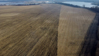 大耕种场耕种土地黄色的干稻草收获小麦湖