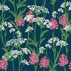 手画无缝的模式白色牛欧芹粉红色的锥体兰花草地野生花野花花设计自然植物黑暗蓝色的海军靛蓝背景英国常见的草本植物草