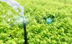 机器人手触摸自动草坪上喷水灭火系统图标聪明的农业概念聪明的农业现代技术概念可持续发展的农业精度农业气候监控