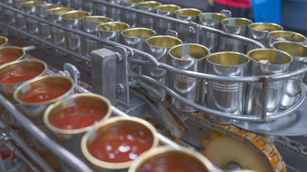 罐头鱼工厂食物行业沙丁鱼输送机带沙丁鱼红色的番茄酱汁罐头罐食物工厂食物处理生产行食物制造业行业