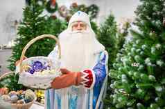 俄罗斯圣诞老人老人持有装饰圣诞节树商店