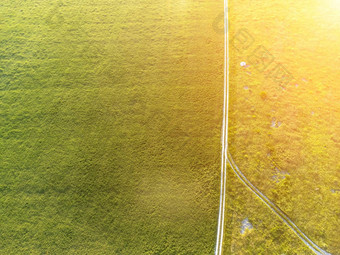 空中视图绿色小麦场路农村场小麦吹风日落年轻的绿色小穗耳朵大麦作物自然农<strong>学行</strong>业食物生产