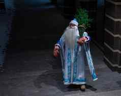 俄罗斯圣诞老人老人携带圣诞节树晚上在户外