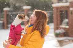 高加索人女人拥抱狗走冬天杰克罗素梗温暖的粉红色的夹克