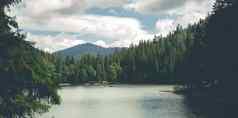 希斯湖框架喀尔巴阡山脉的森林