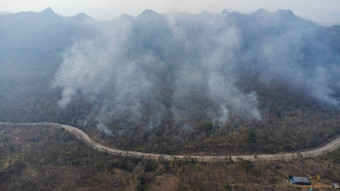 空中无人机视图野火燃烧森林区域填<strong>满天</strong>空黑暗烟森林边缘高速公路燃烧森林空气污染概念