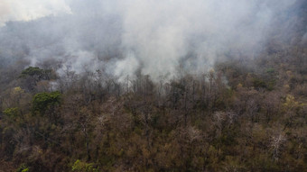 空中无人机视图野火燃烧森林区域填满天空黑暗烟森林边缘高速公路燃烧森林空气污染概念