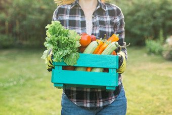 农民女人持有木盒子完整的新鲜的生蔬菜复制空间篮子蔬菜卷心菜胡萝卜黄瓜萝卜沙拉大蒜胡椒女手