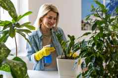 女人园丁浇水植物陶瓷锅表格首页花园概念春天时间室内很多植物护理房子植物样本