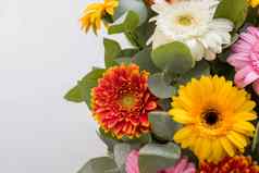 明亮的美丽的花束黄色的橙色红色的花雏菊片段特写镜头花纹理使色彩斑斓的花非洲菊菊花复制空间