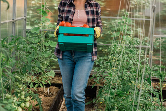 农民女人持有木盒子完整的新鲜的生蔬菜温室篮子蔬菜卷心菜胡萝卜黄瓜萝卜沙拉大蒜胡椒女手
