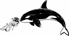 单色画跳虎鲸鲸鱼黑色的白色