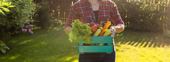 横幅农民女人持有木盒子完整的新鲜的生蔬菜篮子蔬菜卷心菜胡萝卜黄瓜萝卜沙拉大蒜胡椒女手