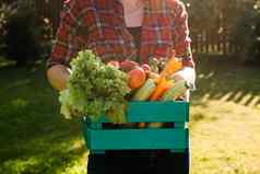 女农民携带盒子选蔬菜花园收获农业产品在线销售