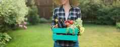 横幅女农民携带盒子选蔬菜花园收获农业产品在线销售