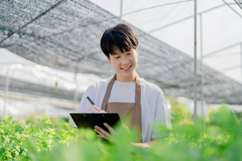 男人。农民收获蔬菜审计质量水培法农场有机新鲜的蔬菜农民工作水培蔬菜花园收获小业务概念