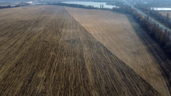 大耕种场耕种土地黄色的干稻草收获小麦湖