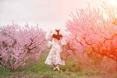 背景风景如画的桃子果园女人长衣服他享受和平走公园包围美自然