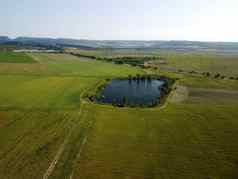 空中视图湖包围绿色小麦场农村场小麦吹风绿色海耳朵大麦作物自然农学行业食物生产